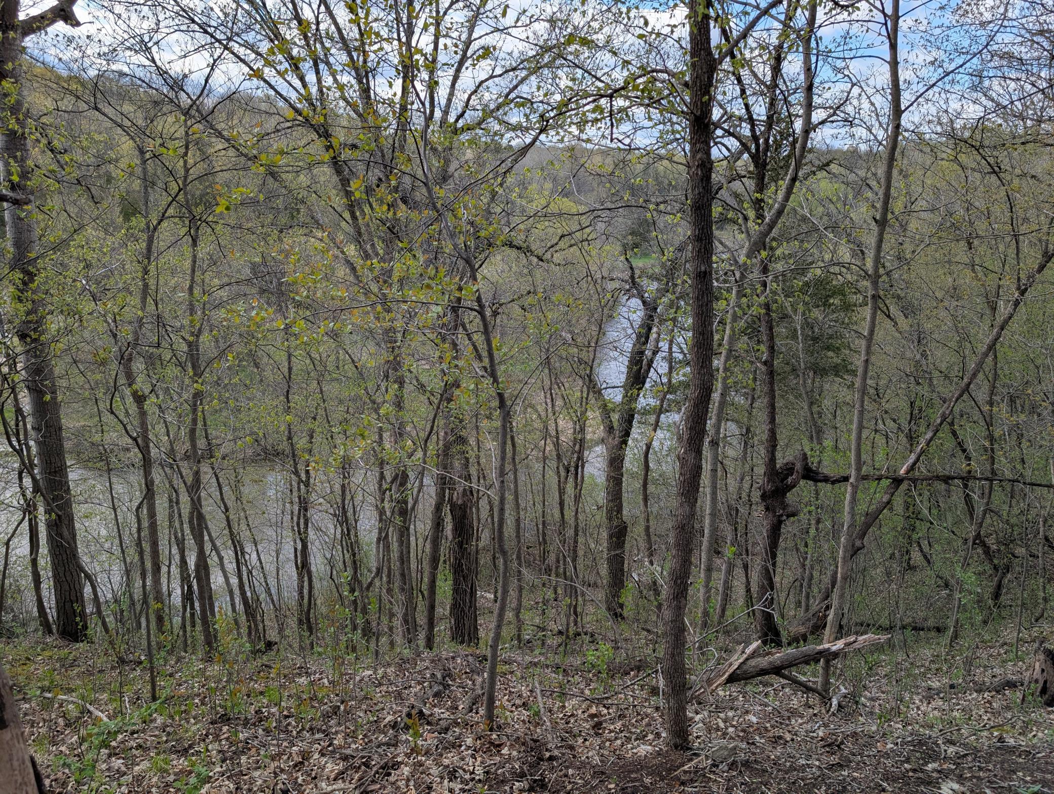 main property photo 43