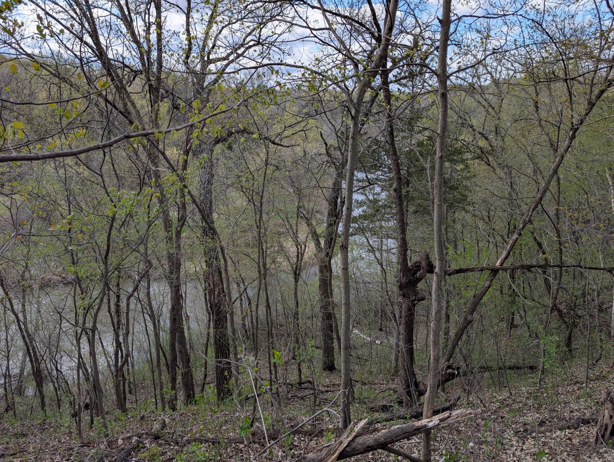 main property photo 45