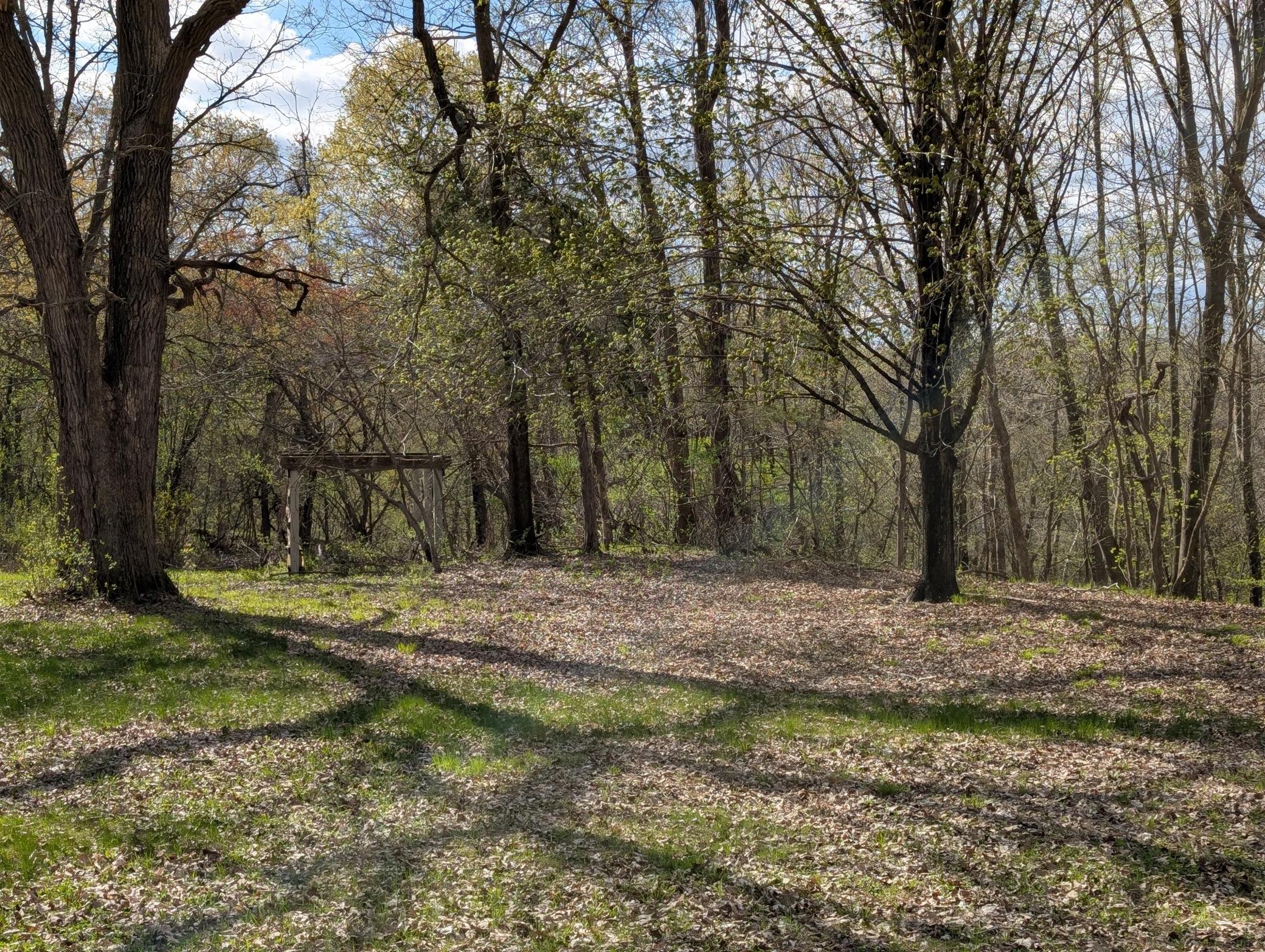 main property photo 46