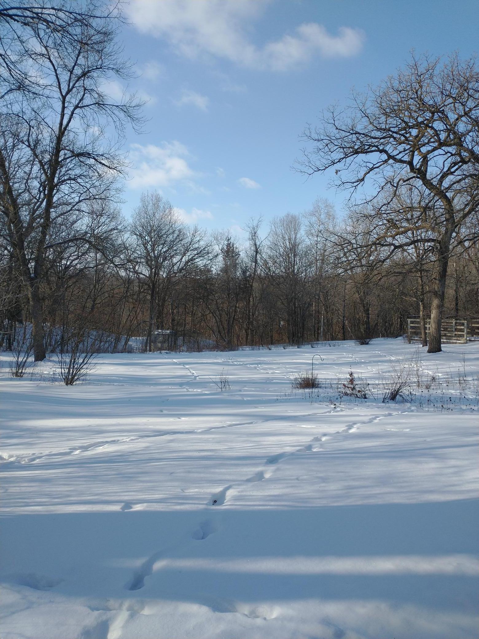 main property photo 57