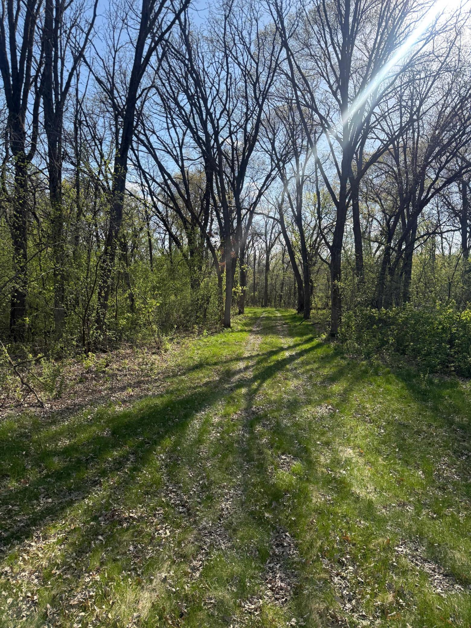 main property photo 11
