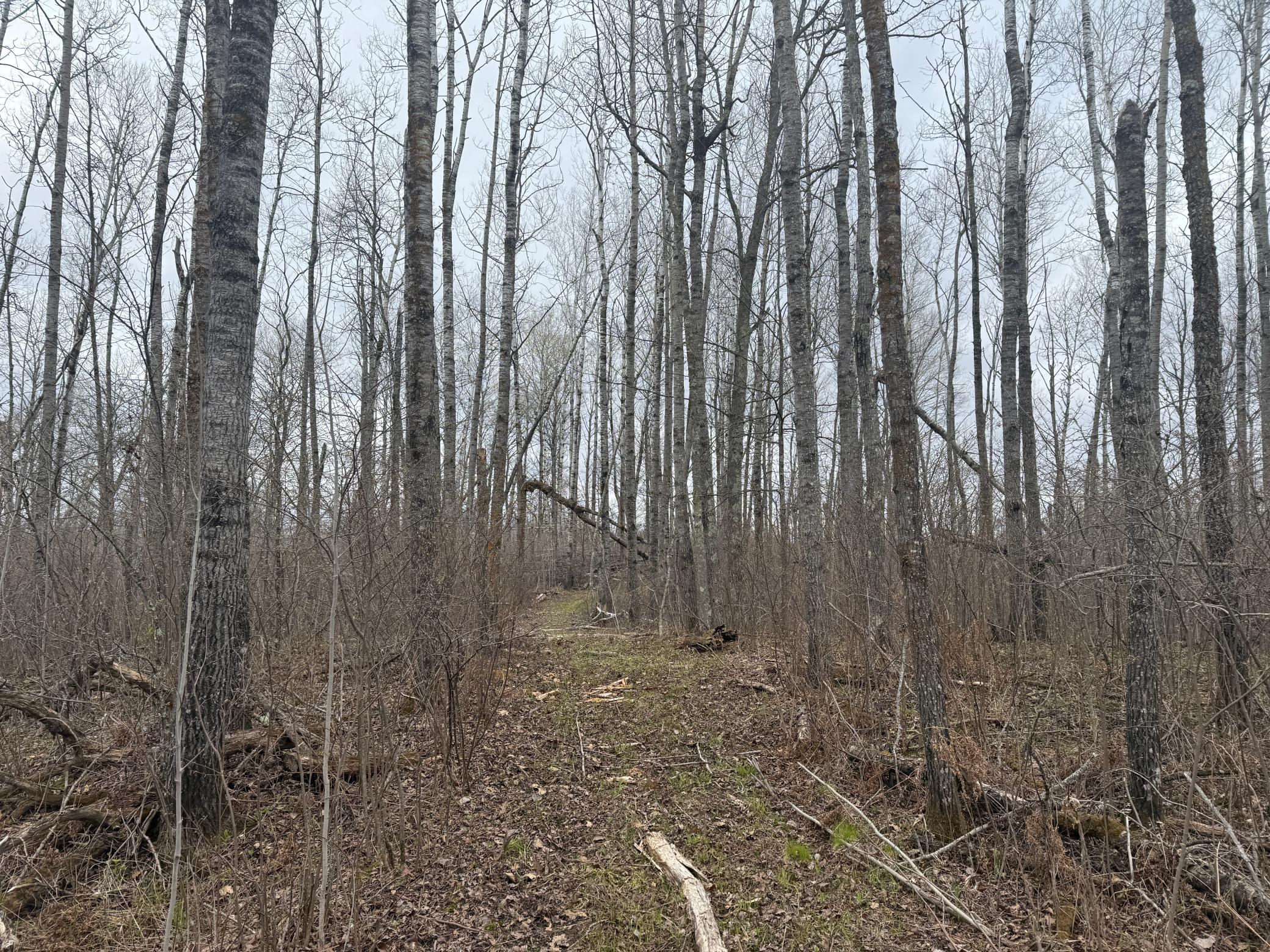 main property photo 40