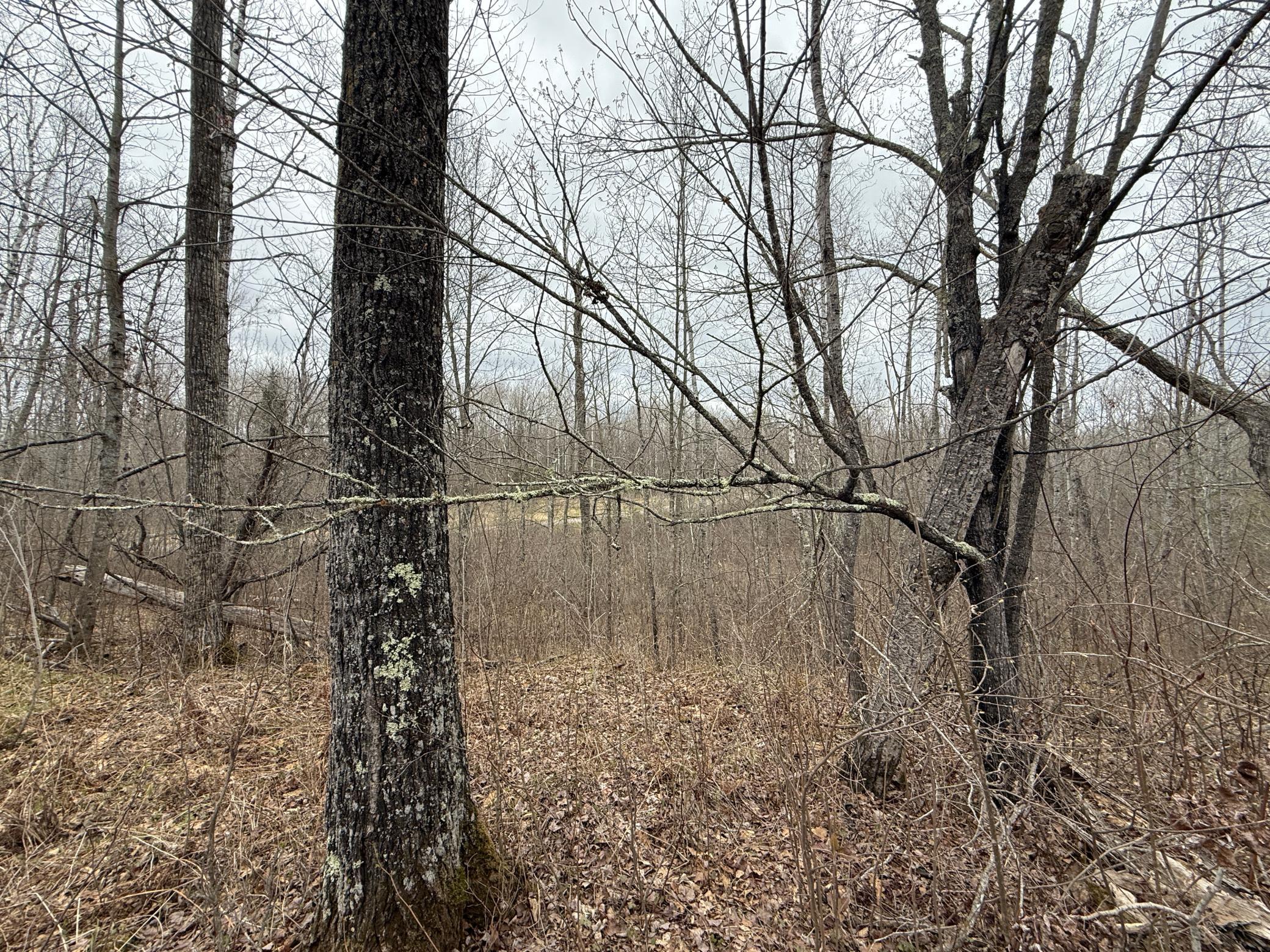 main property photo 48
