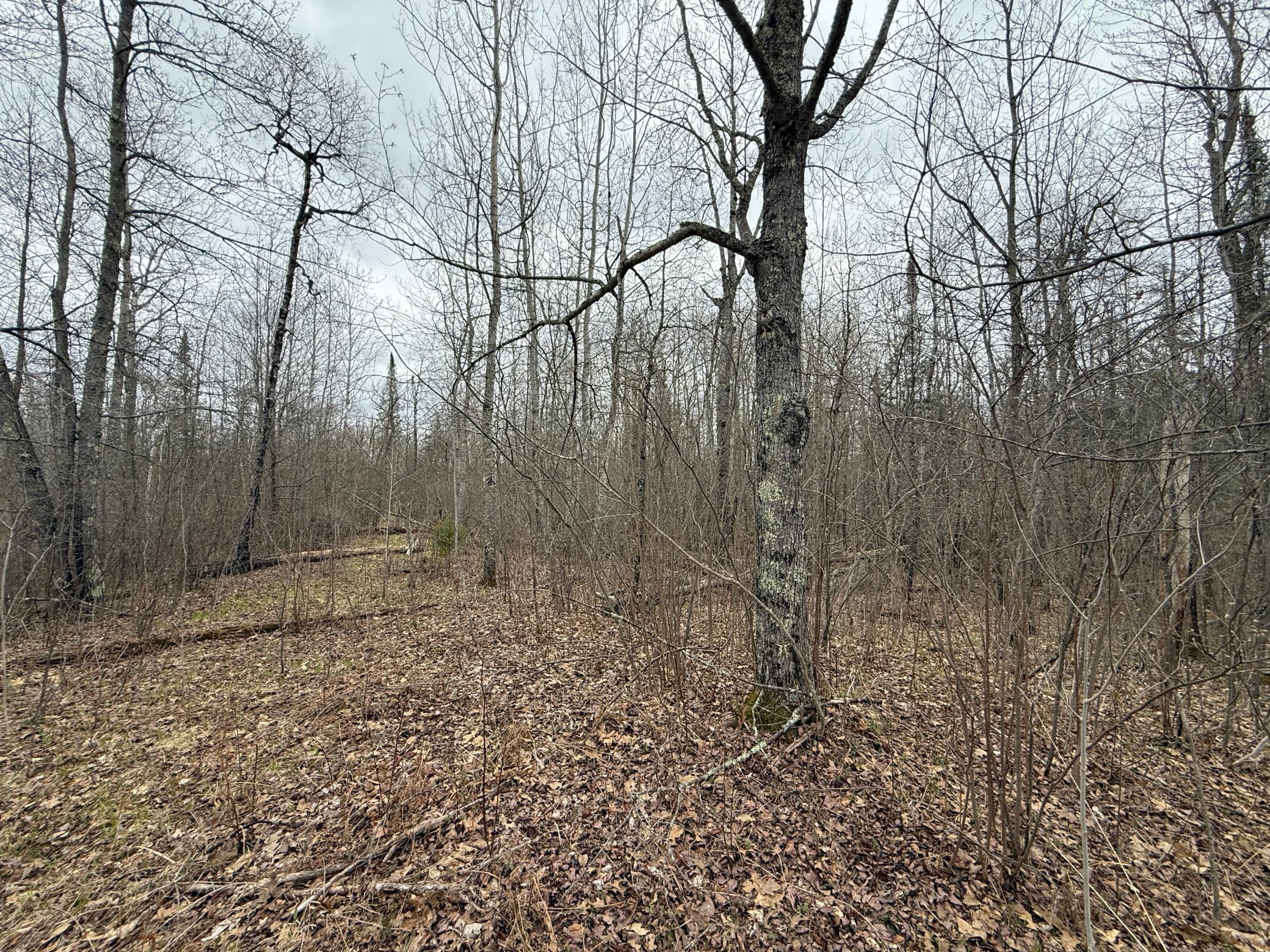 main property photo 49