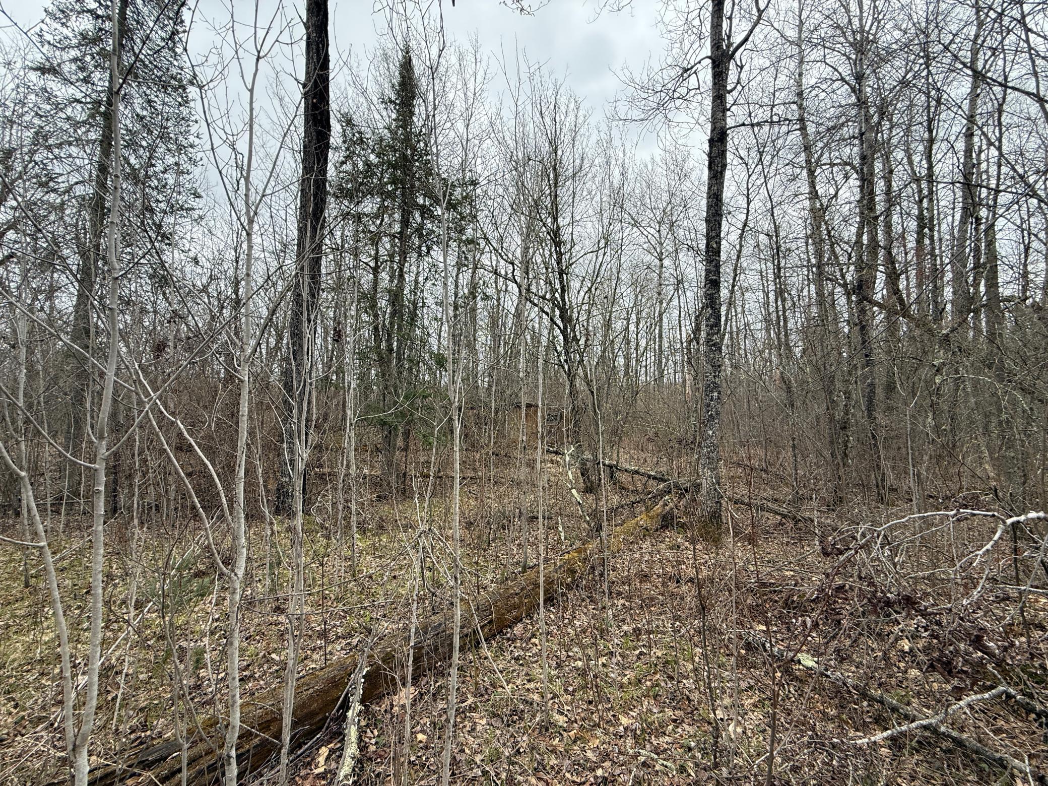 main property photo 52