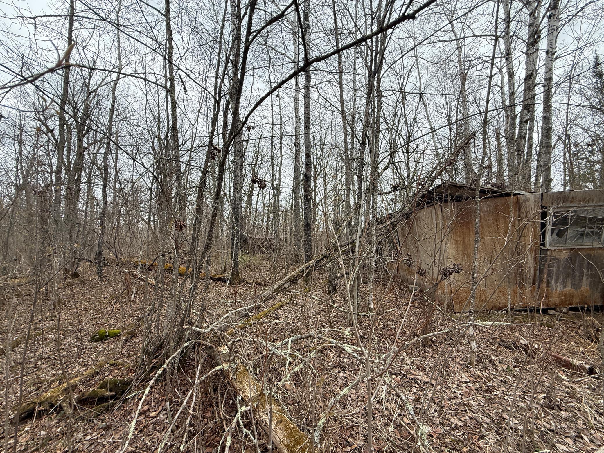 main property photo 54