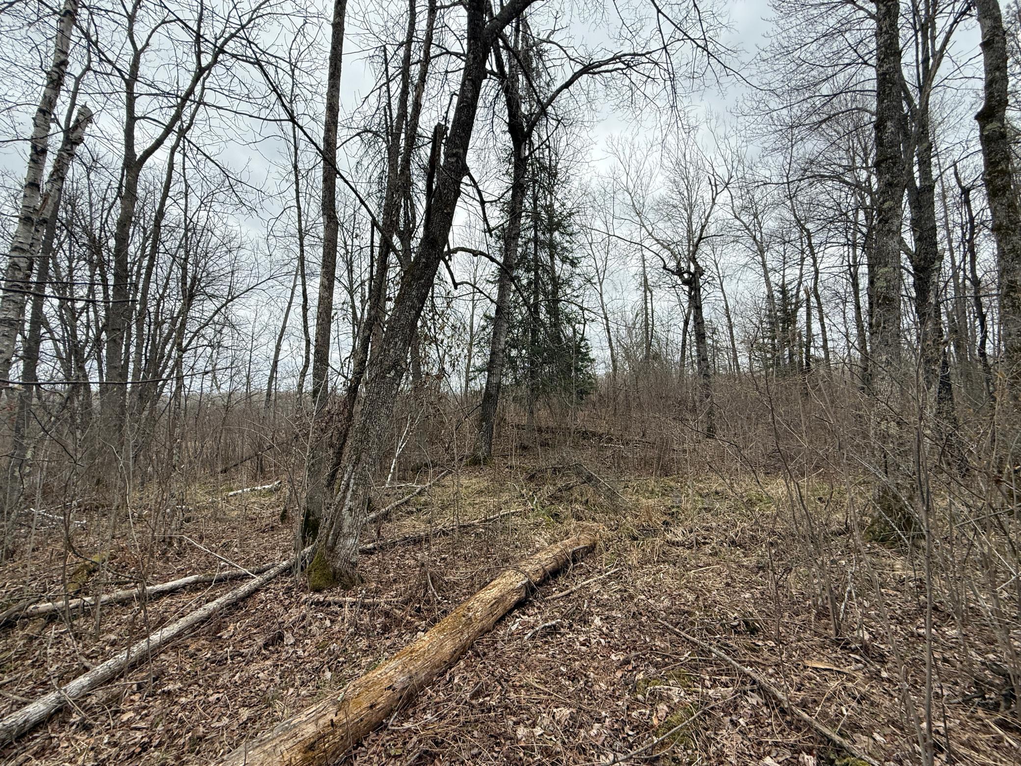 main property photo 62
