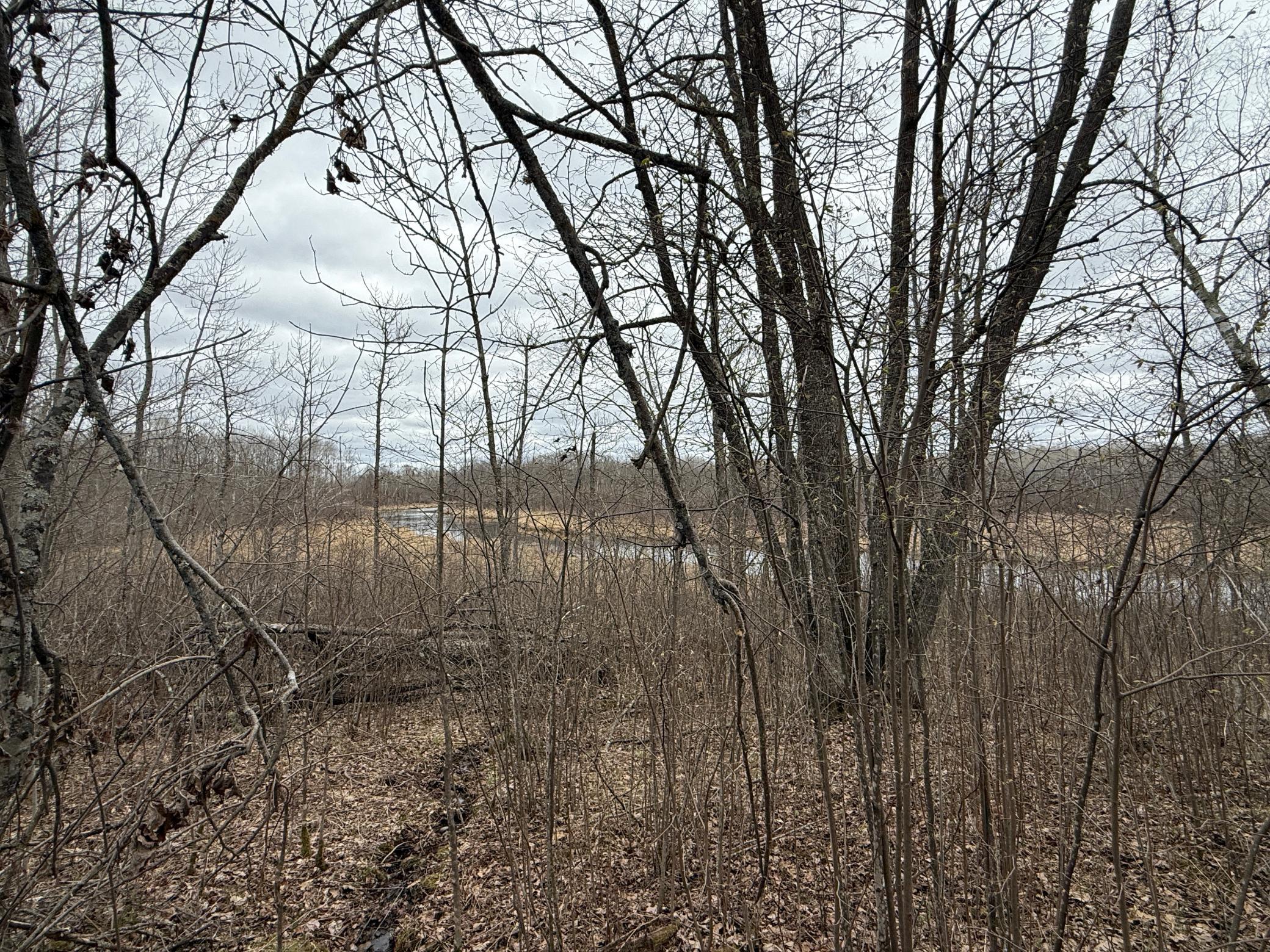 main property photo 63