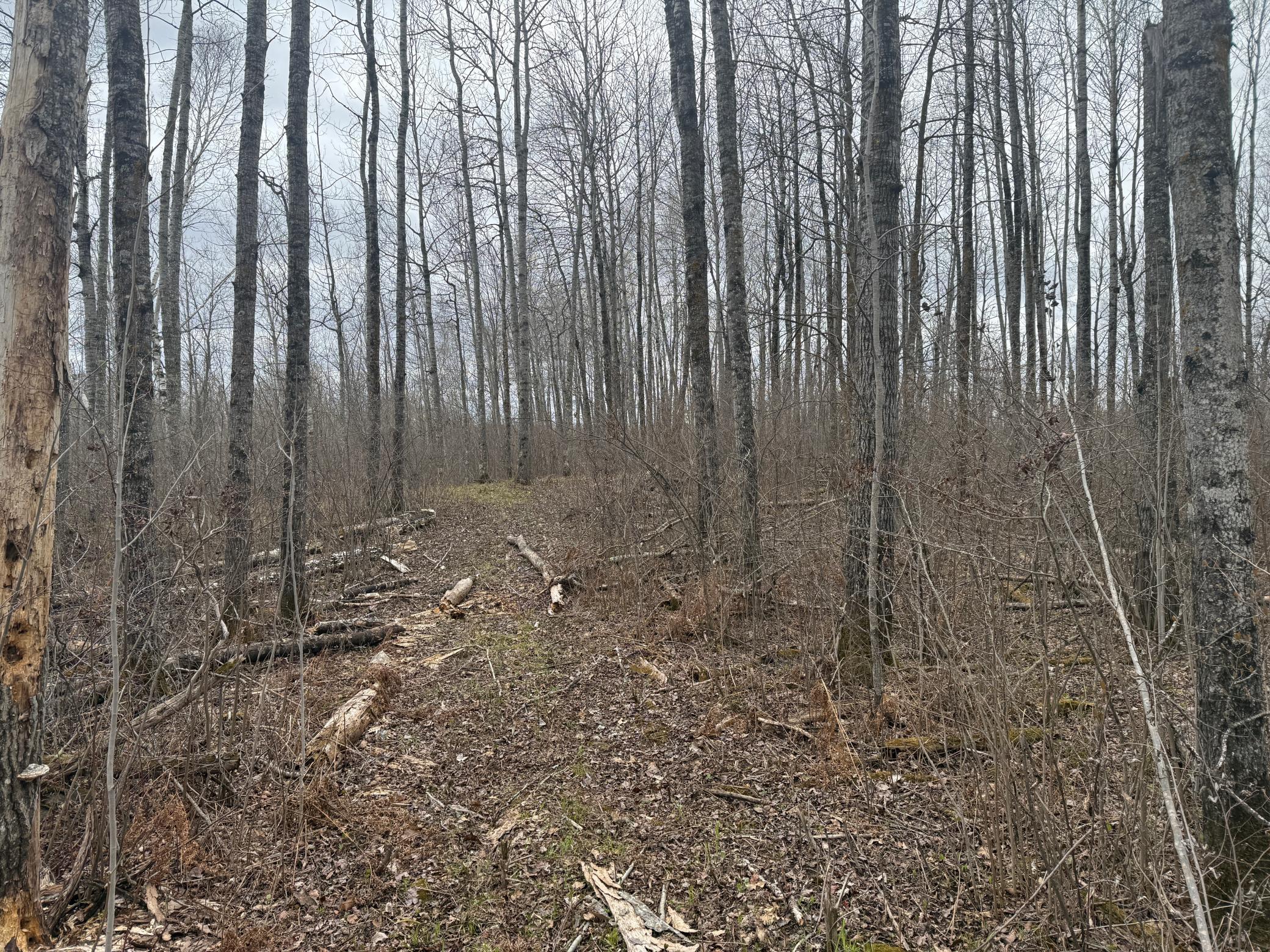 main property photo 74