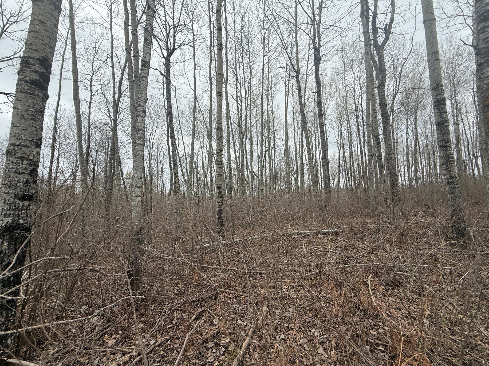 main property photo 76