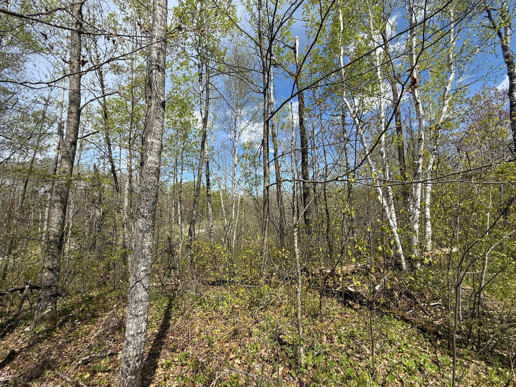 main property photo 8