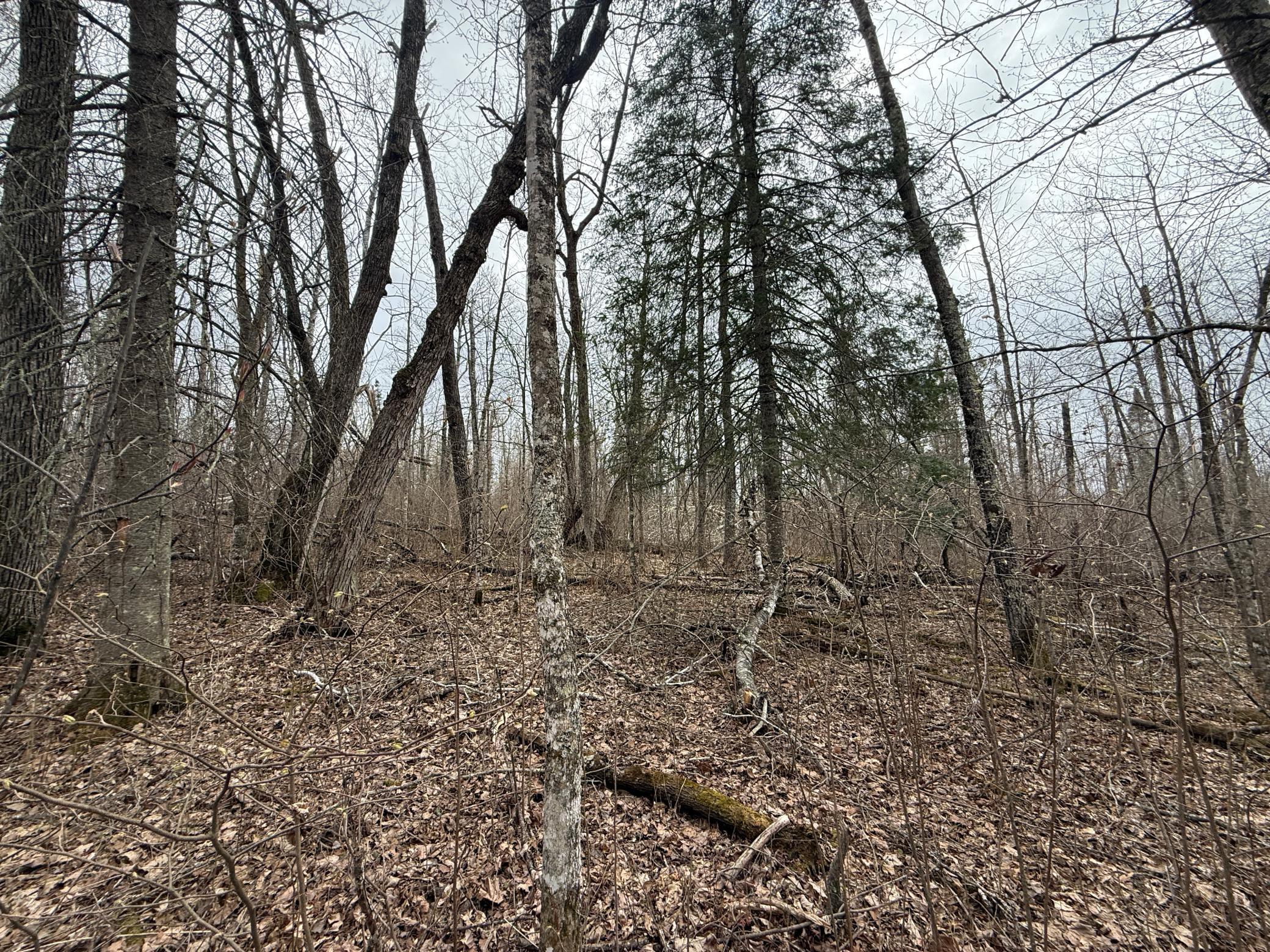 main property photo 83