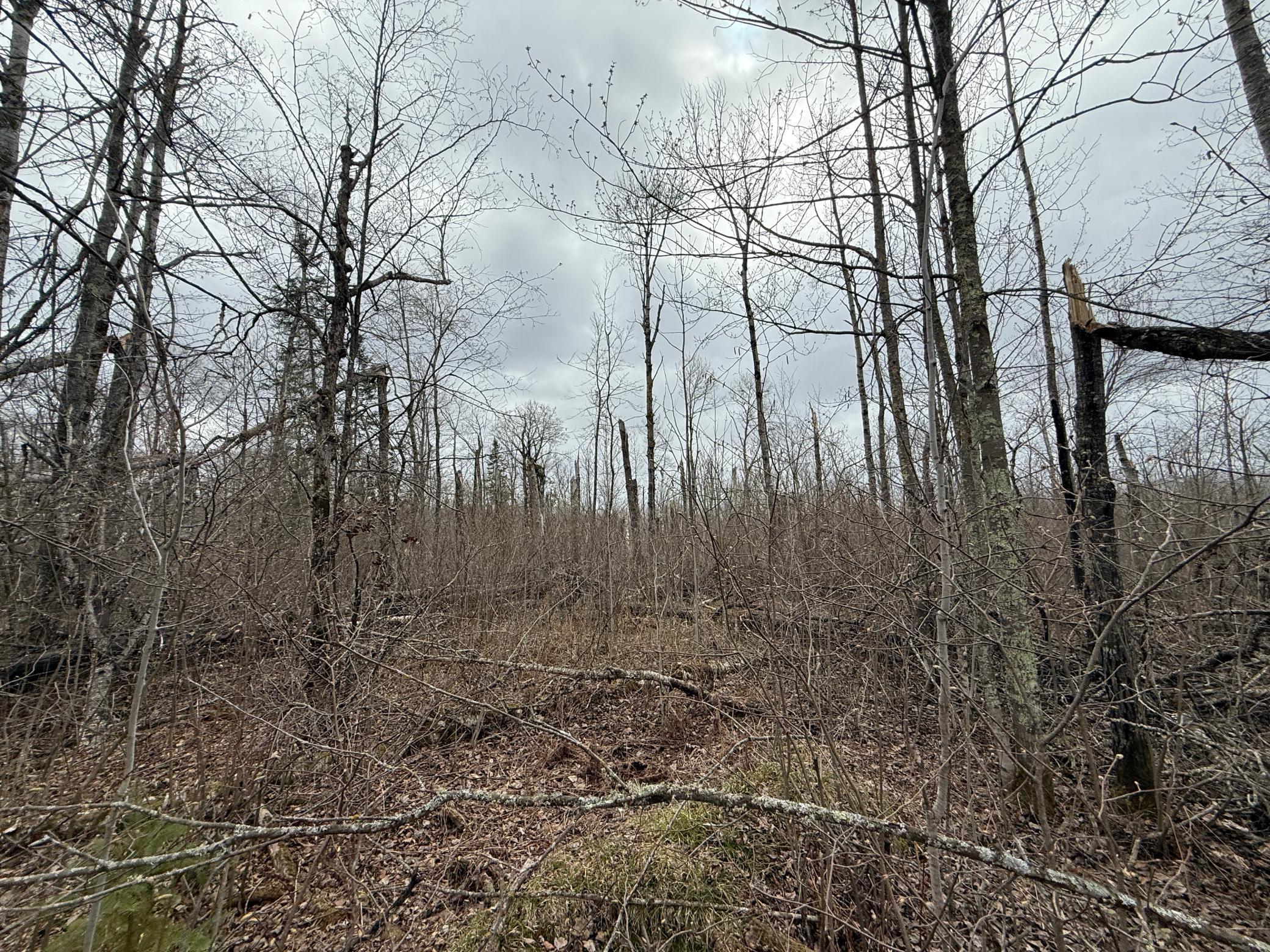 main property photo 85