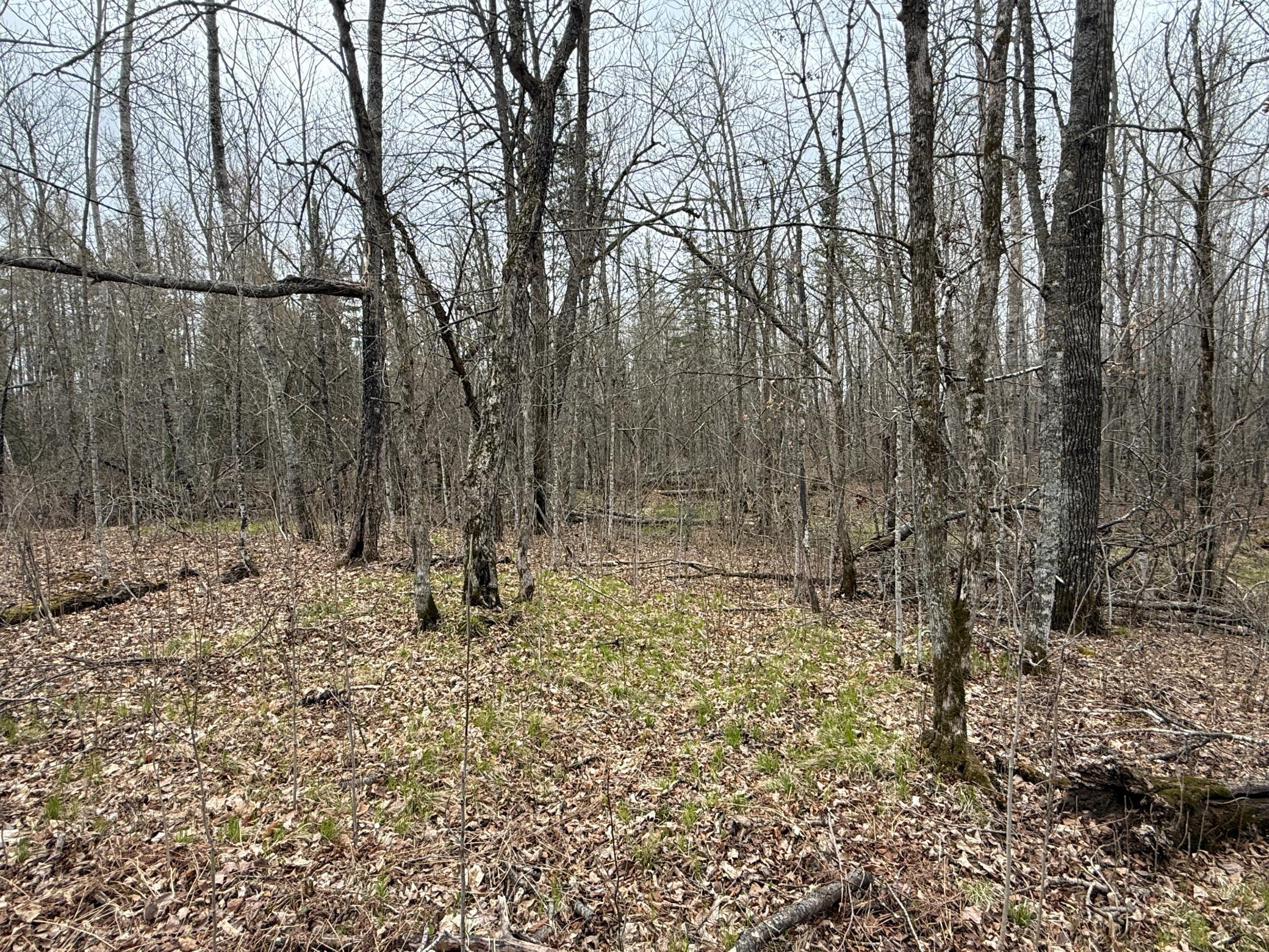 main property photo 93