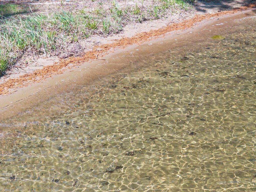 main property photo 149