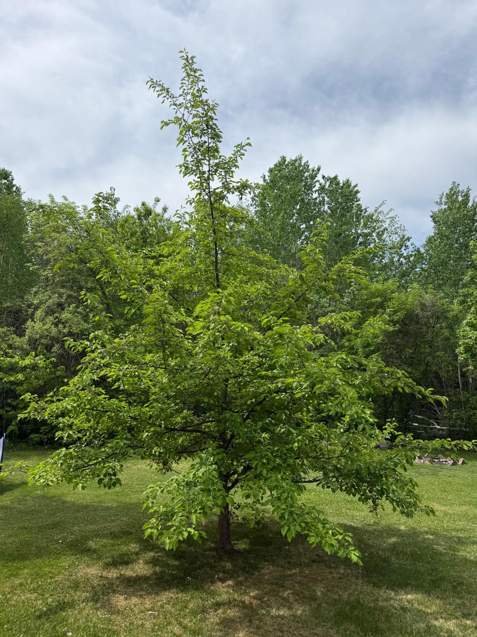 main property photo 9