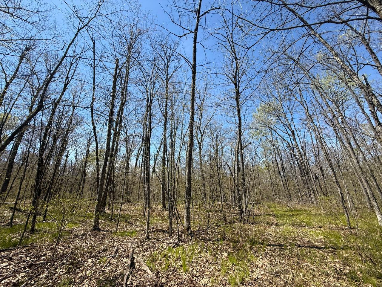main property photo 10