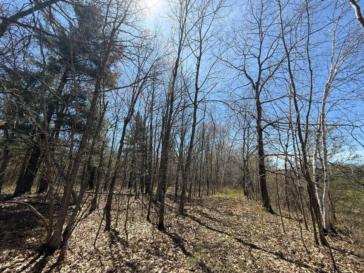 main property photo 27