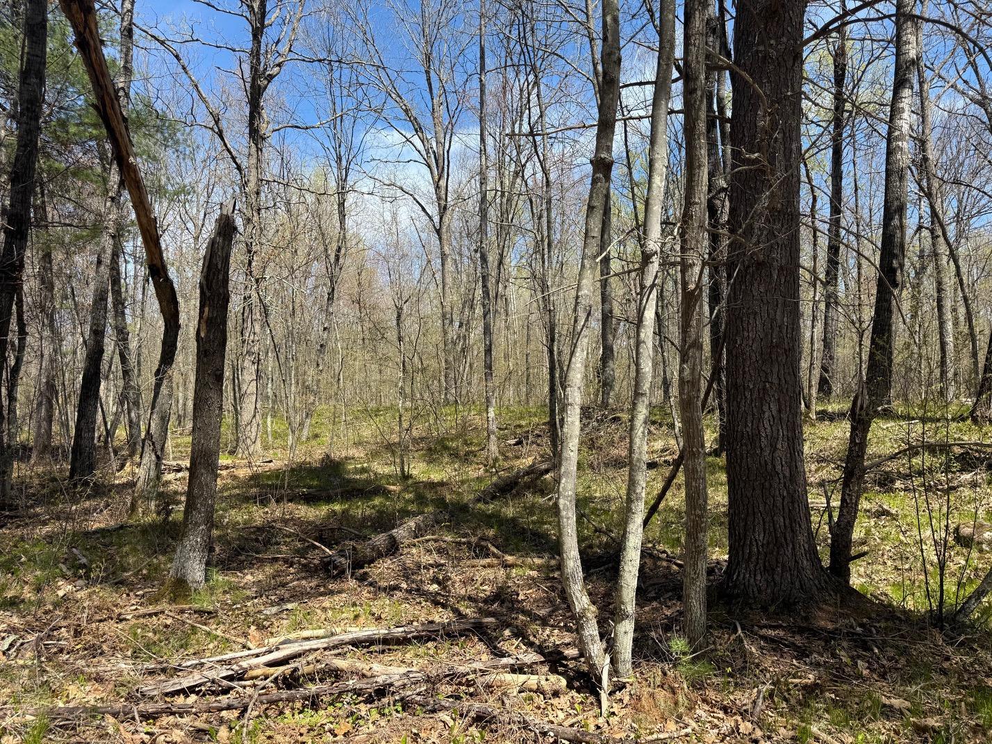 main property photo 34
