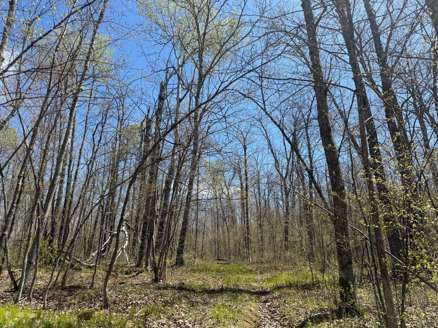 main property photo 35