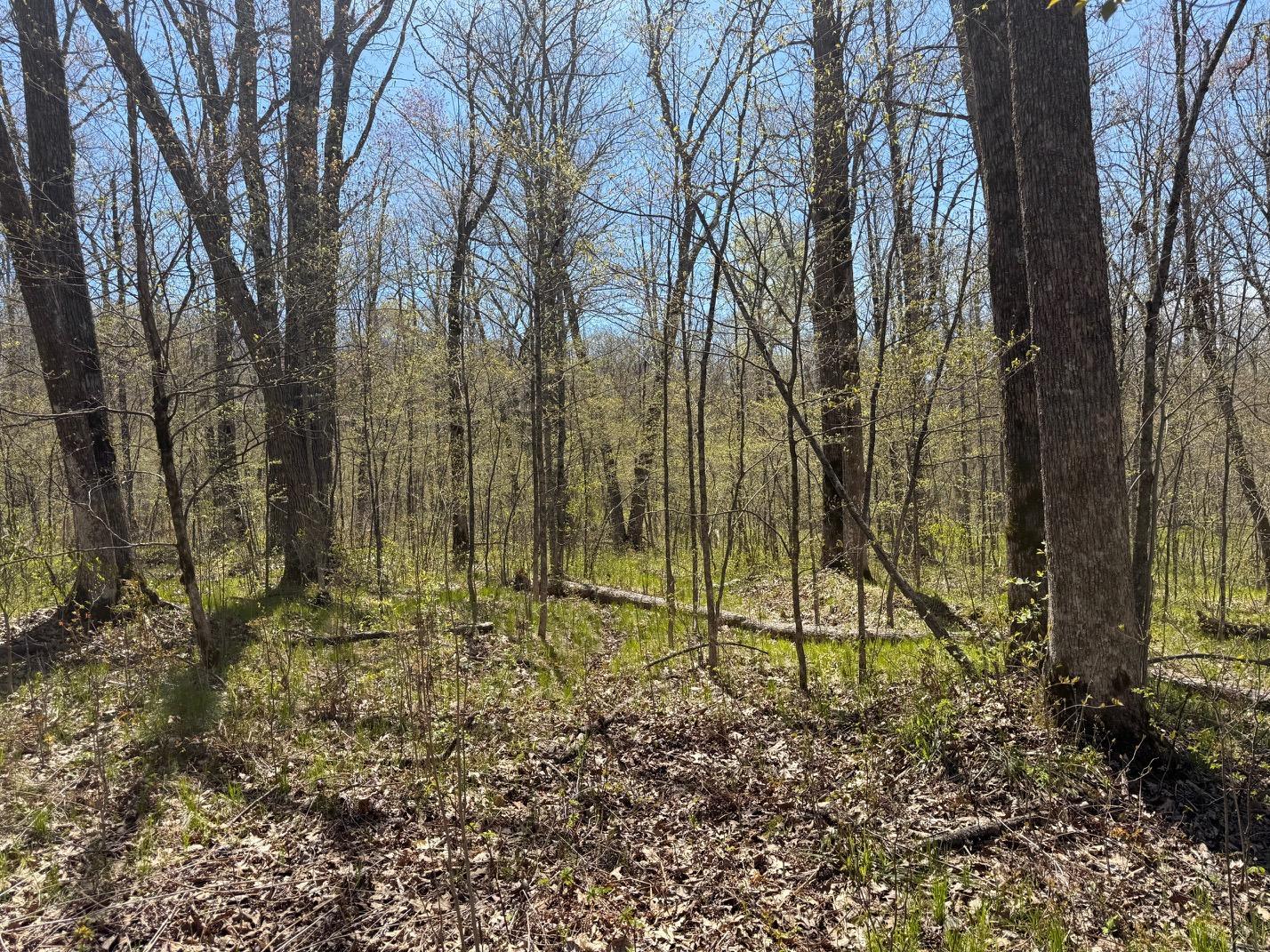 main property photo 36