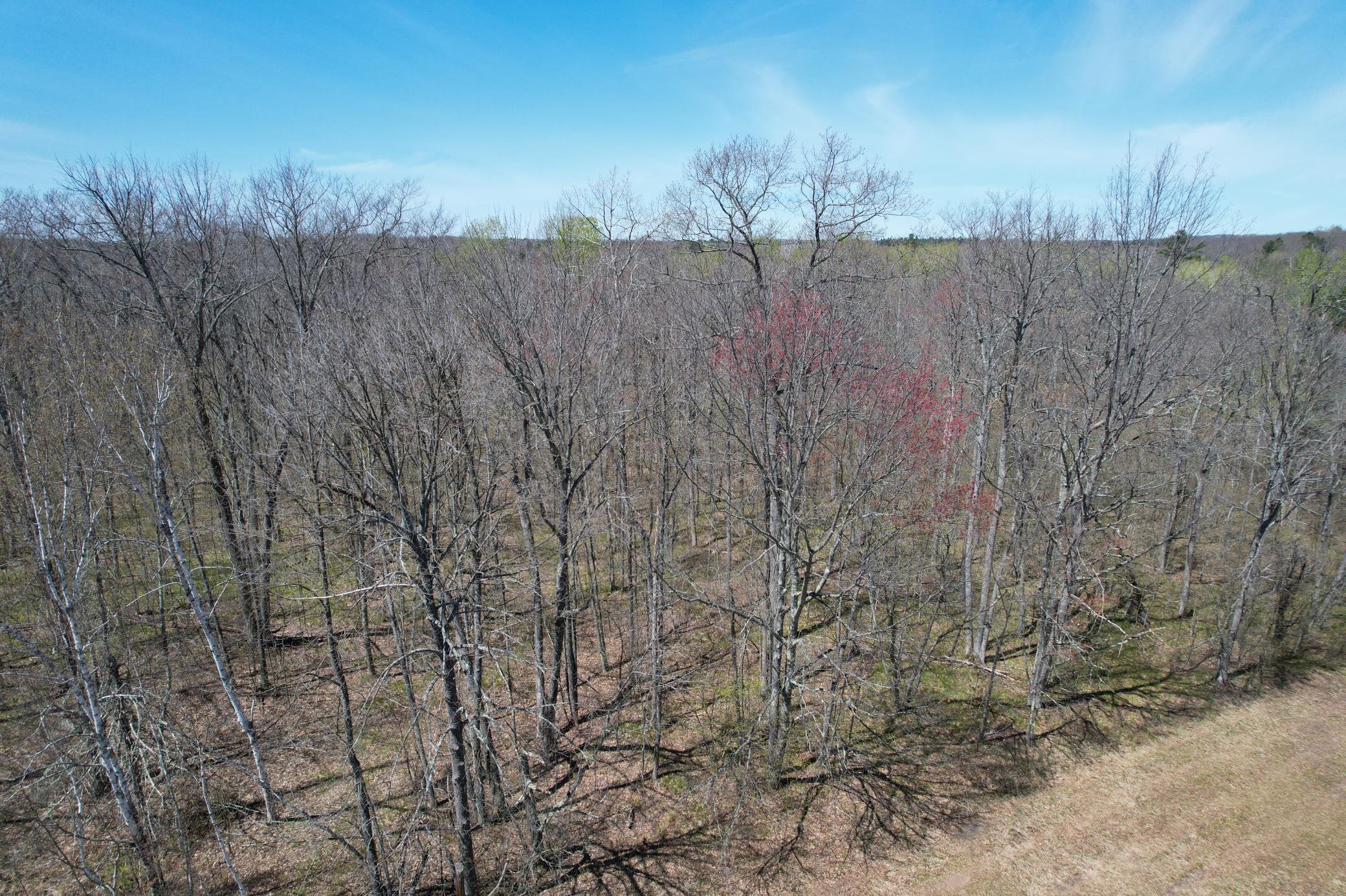 main property photo 57