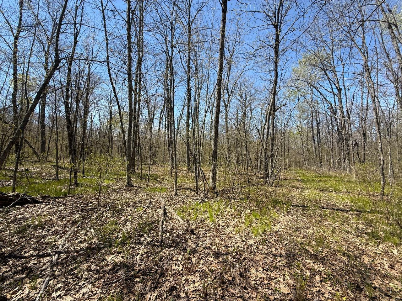 main property photo 9