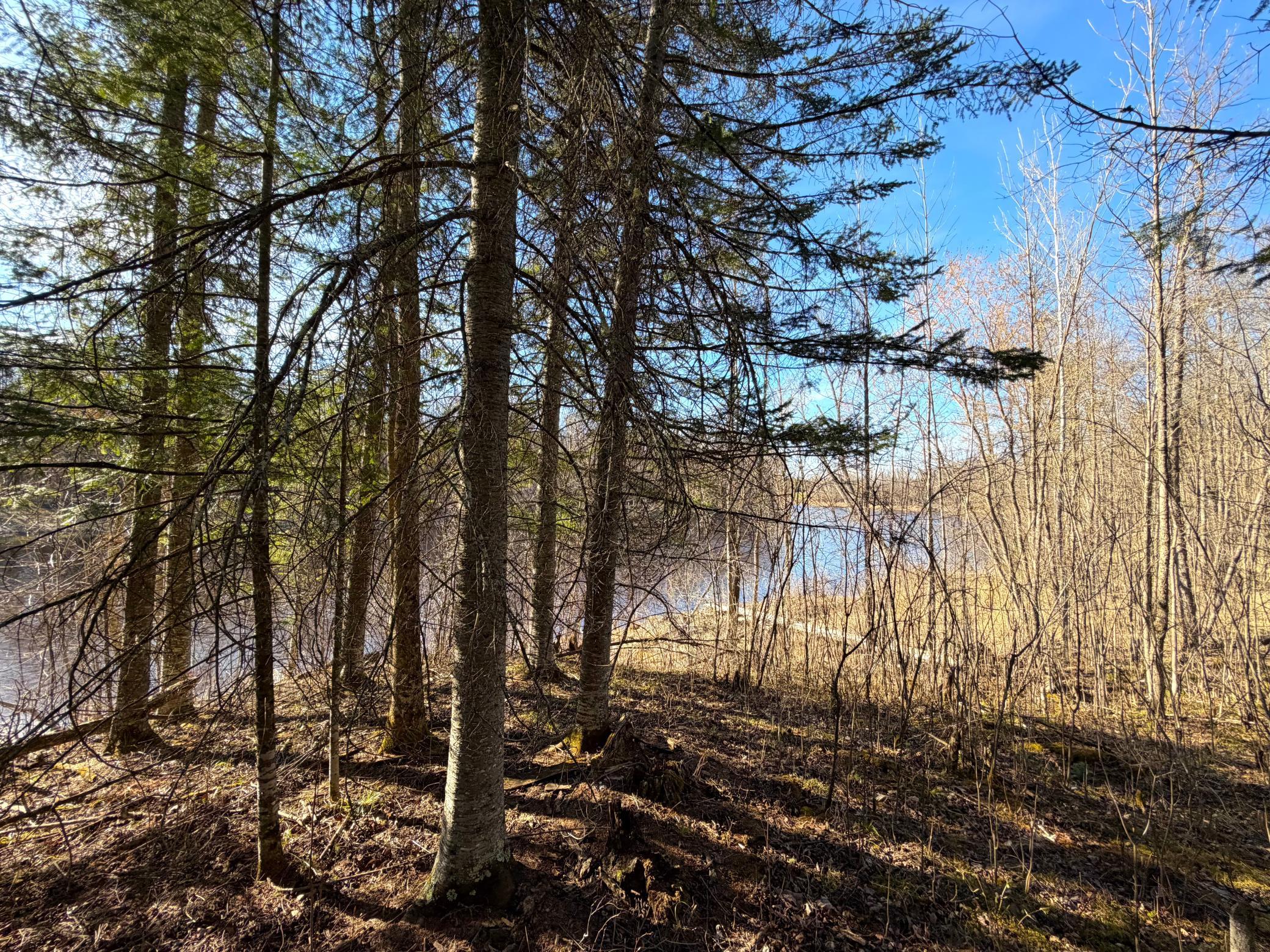 main property photo 34