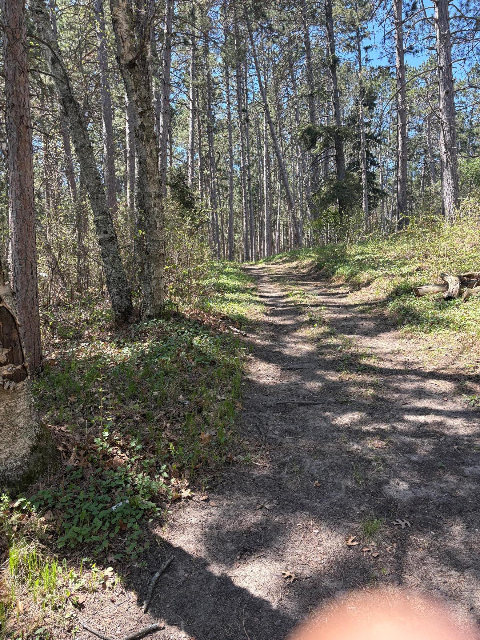 main property photo 17