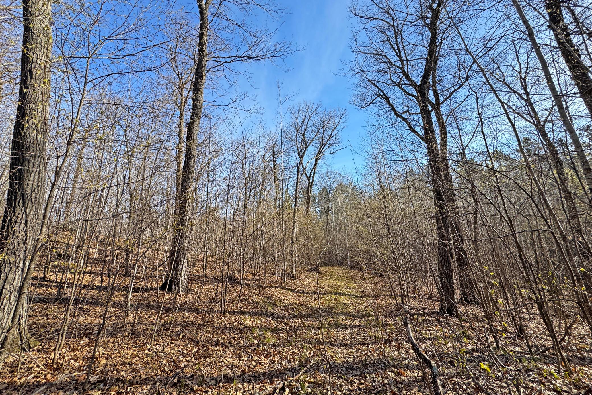 main property photo 52