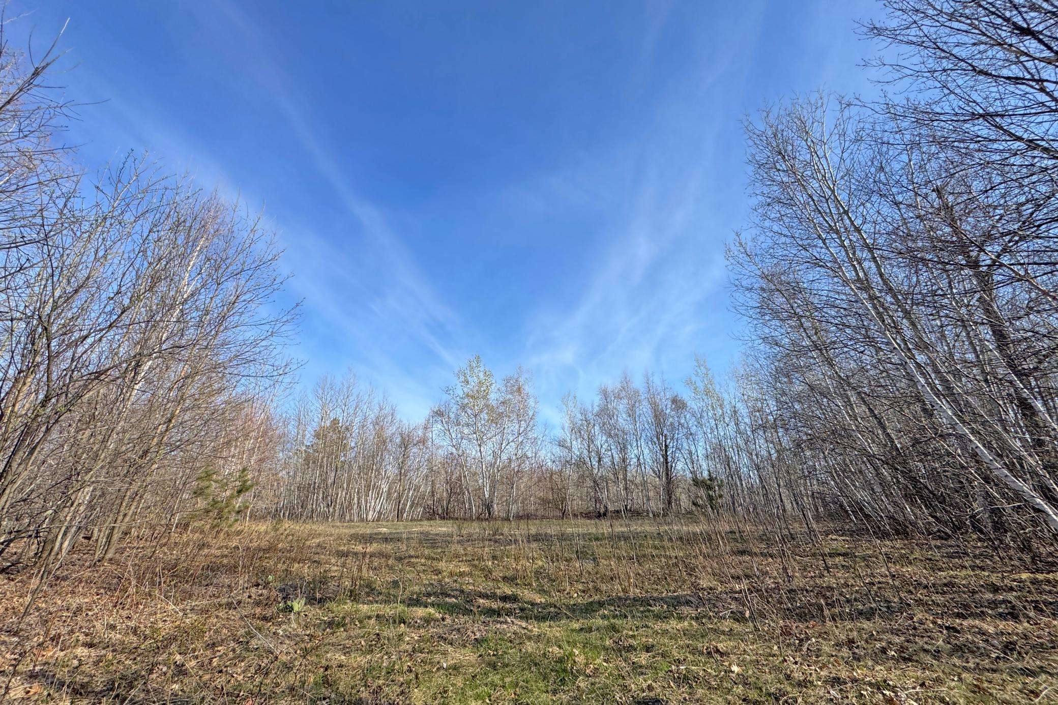 main property photo 53