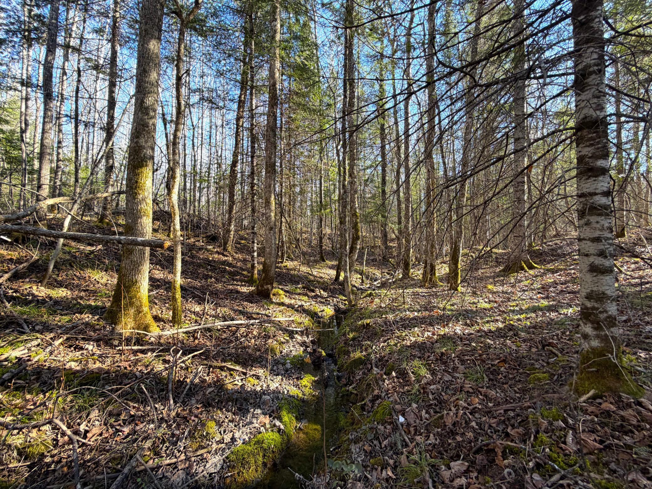 main property photo 19