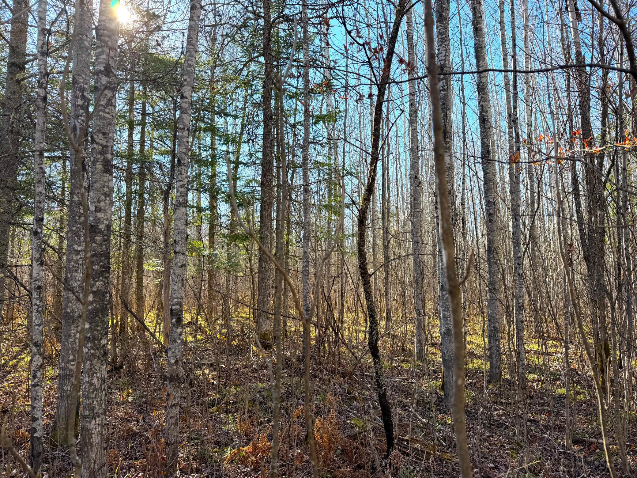 main property photo 18