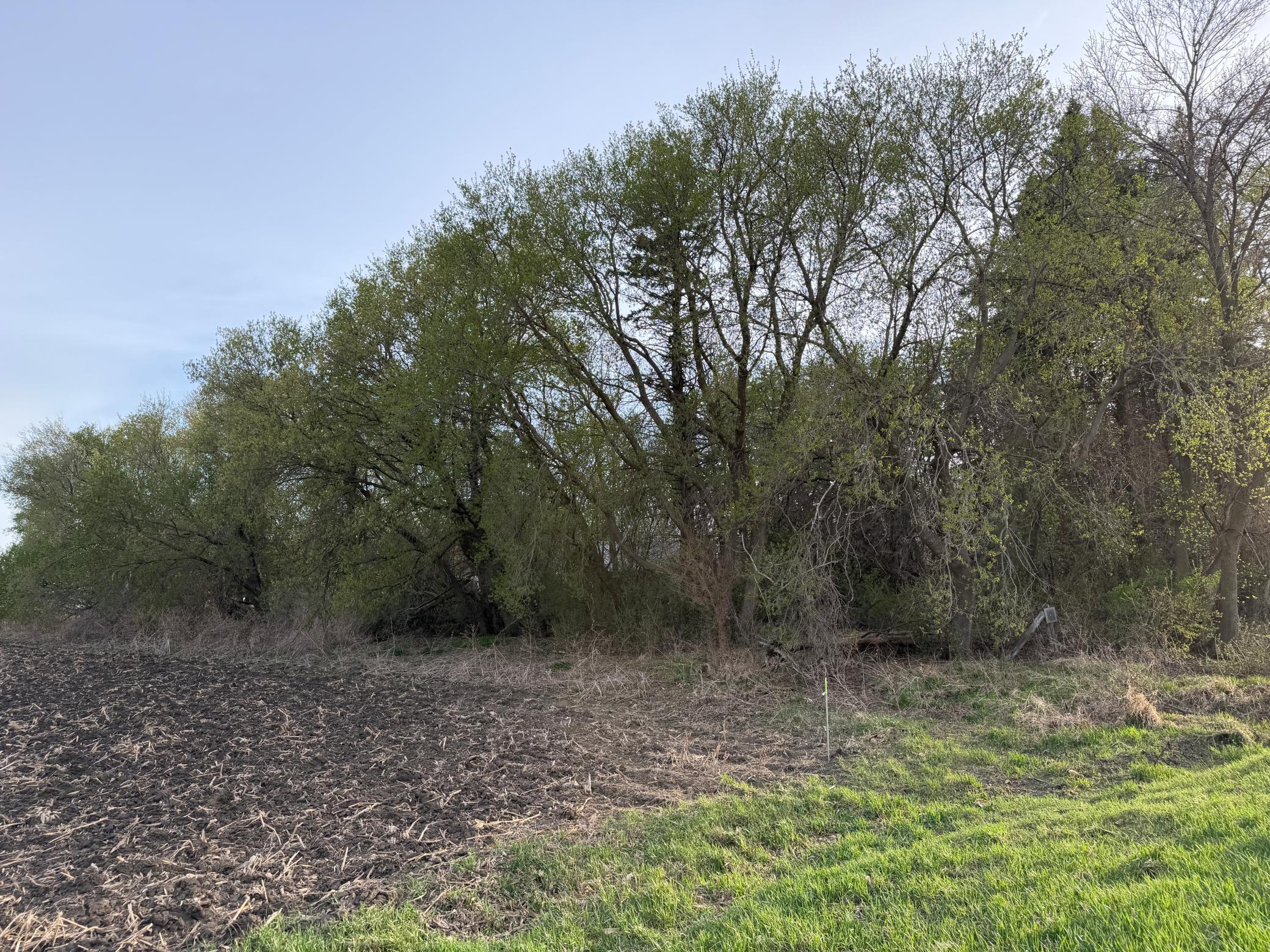 main property photo 32