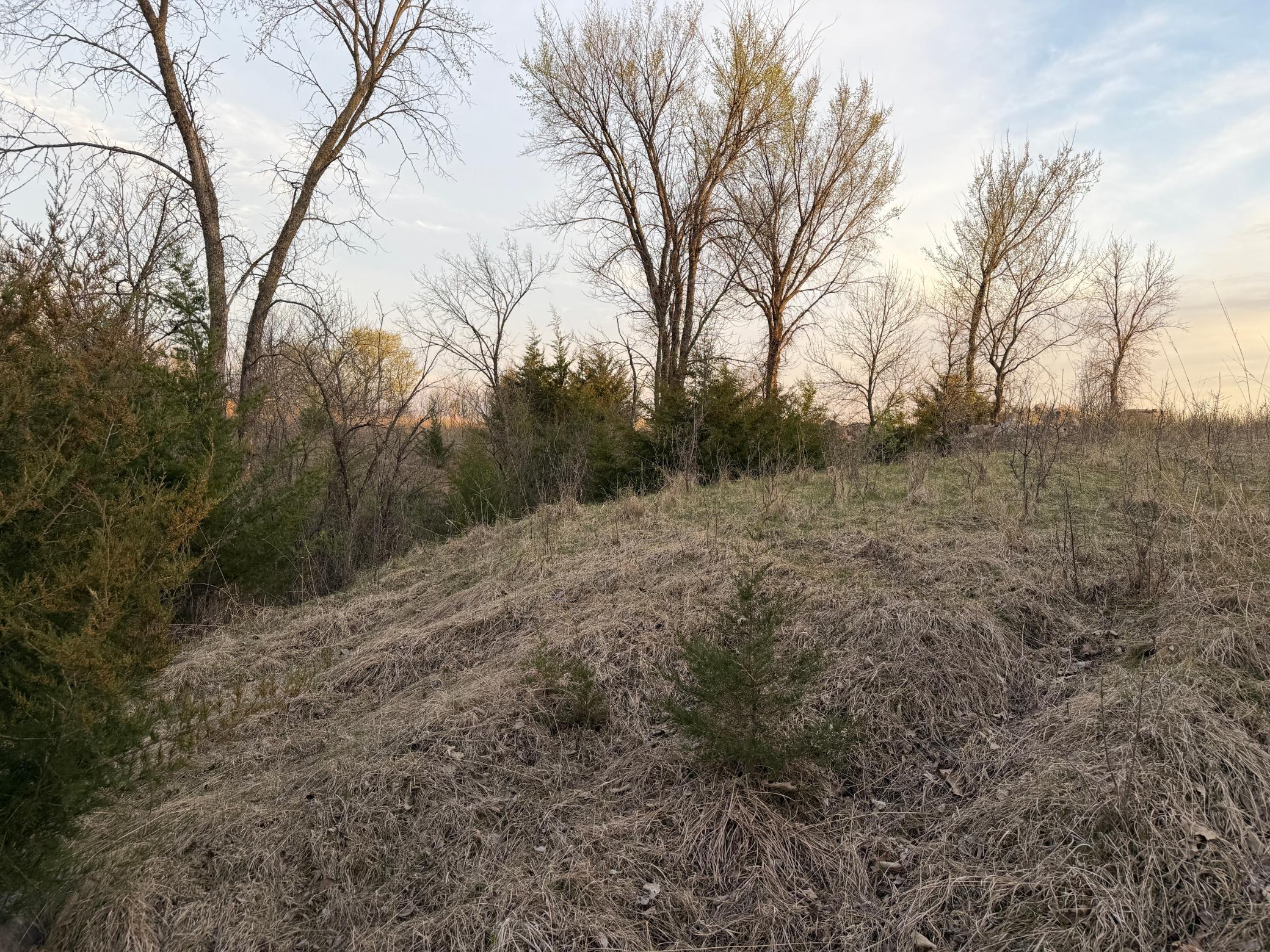 main property photo 25