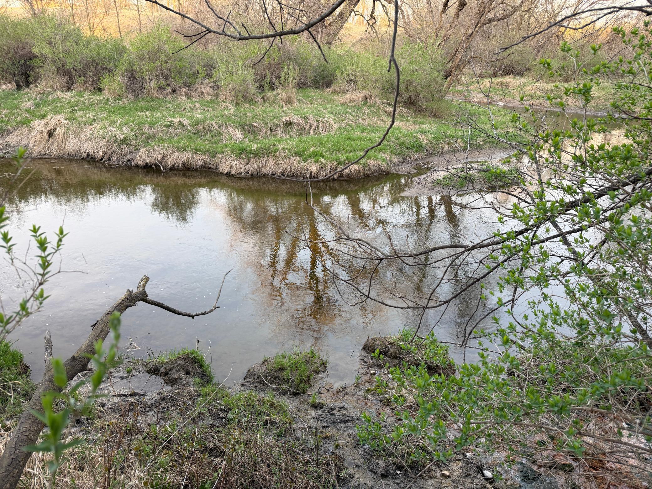 main property photo 26