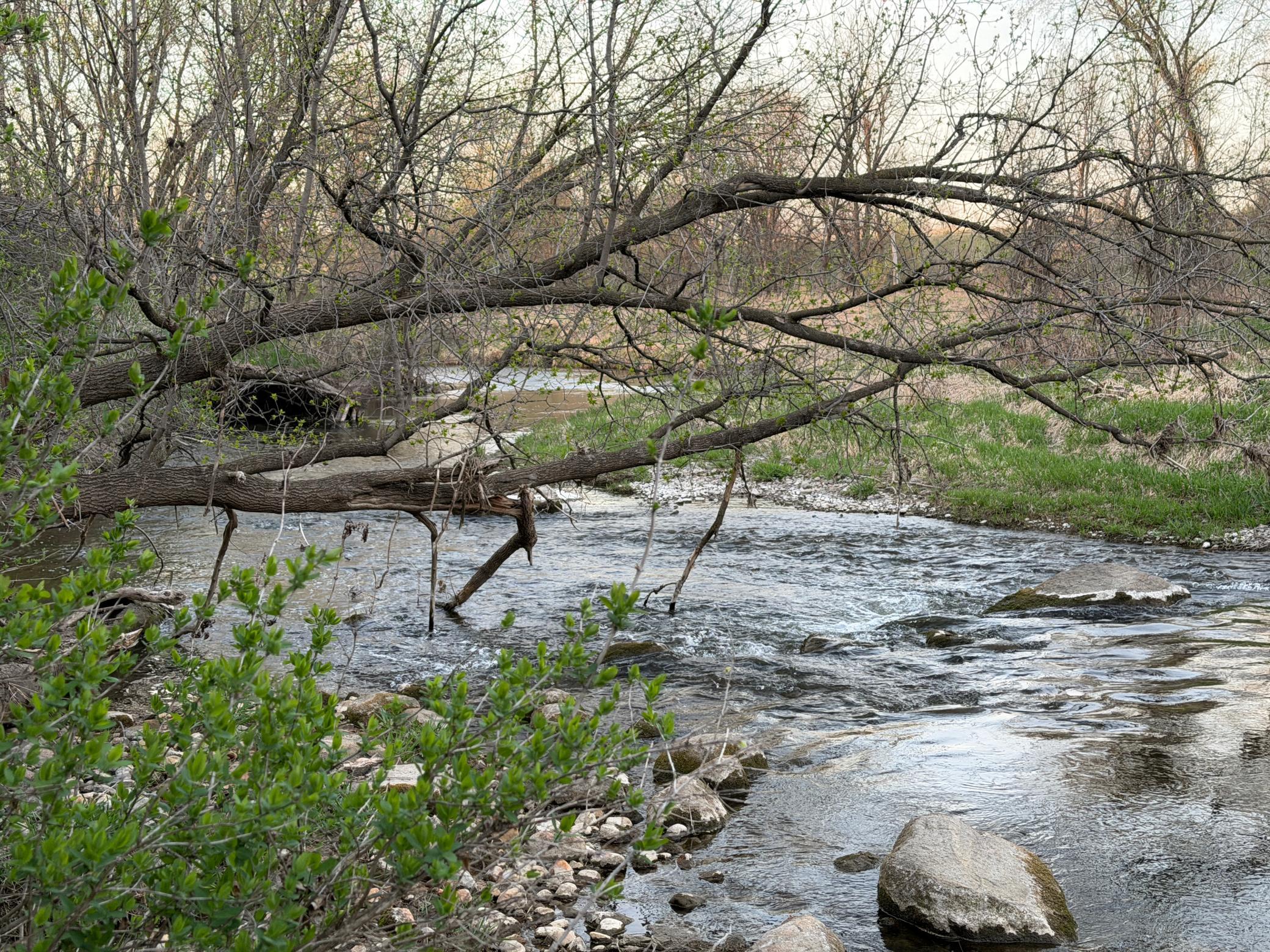 main property photo 30