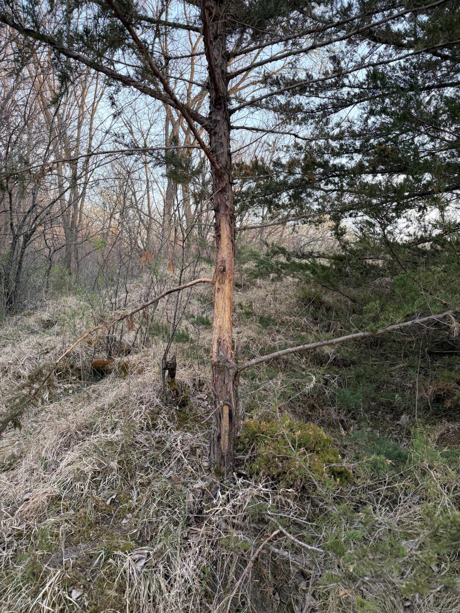 main property photo 35