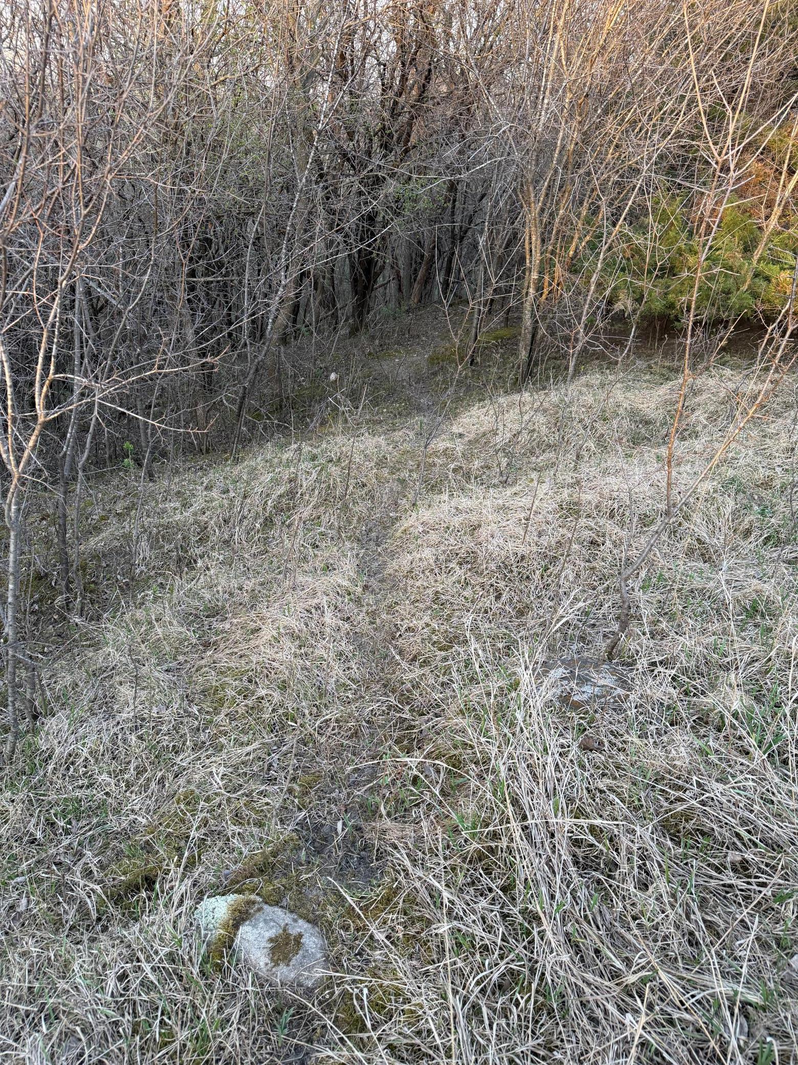 main property photo 37