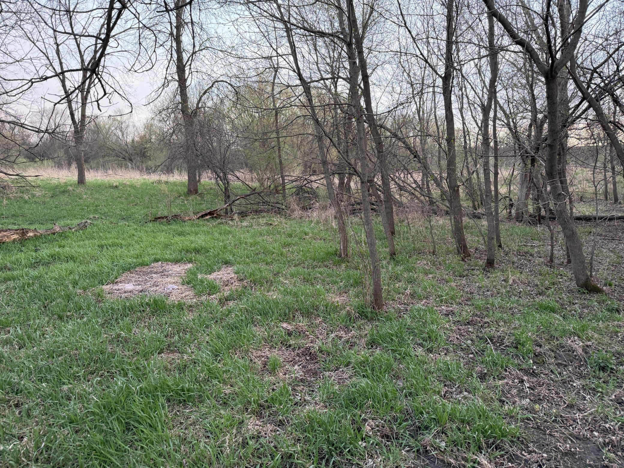 main property photo 43