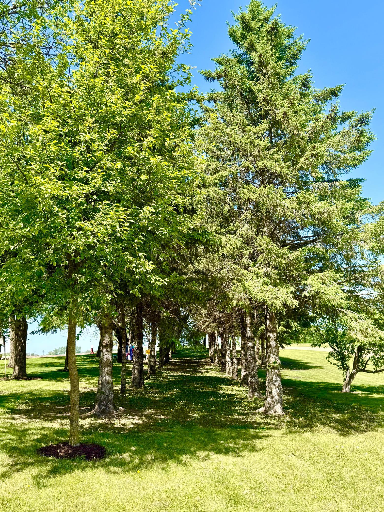 main property photo 50