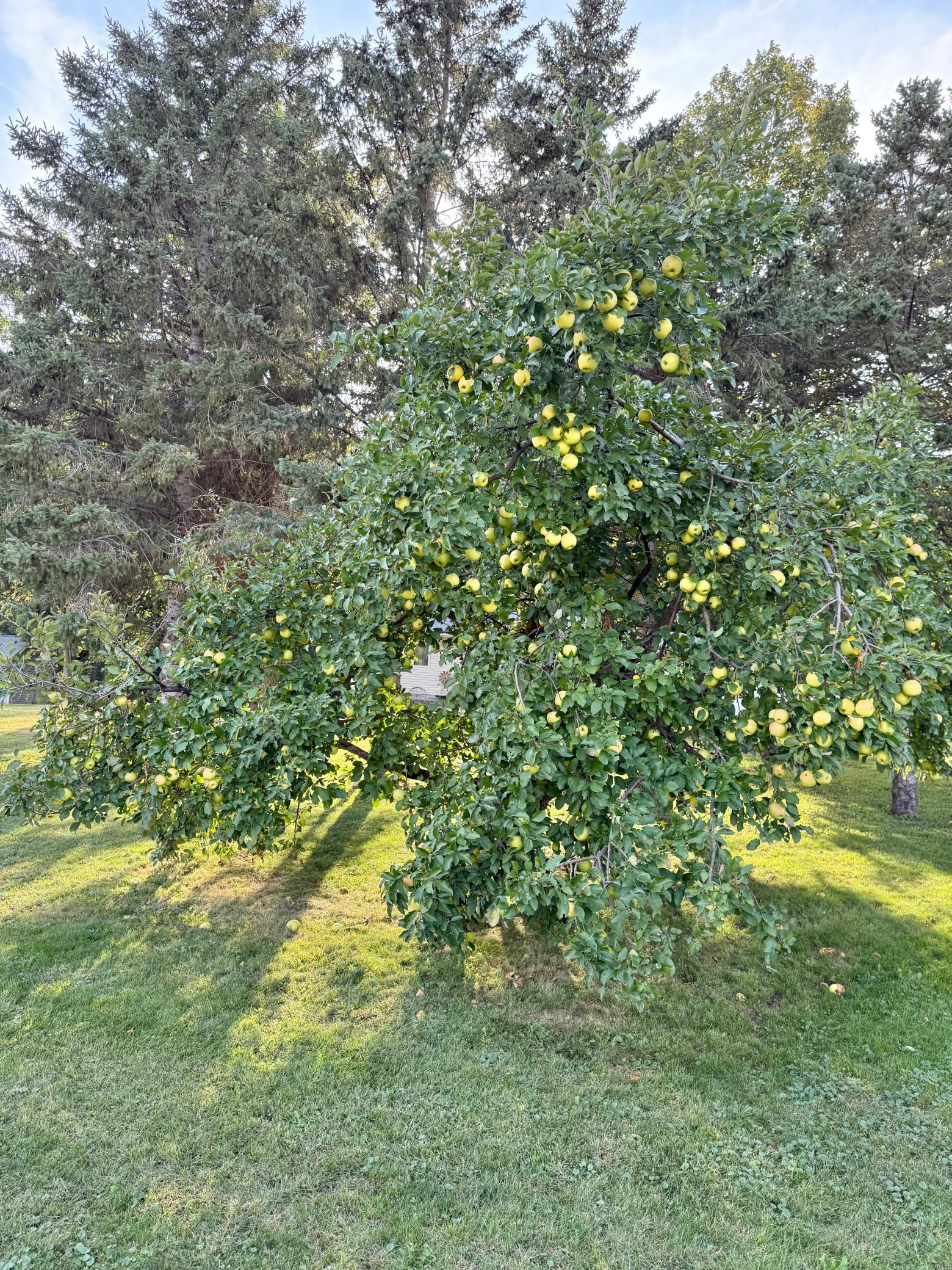main property photo 51