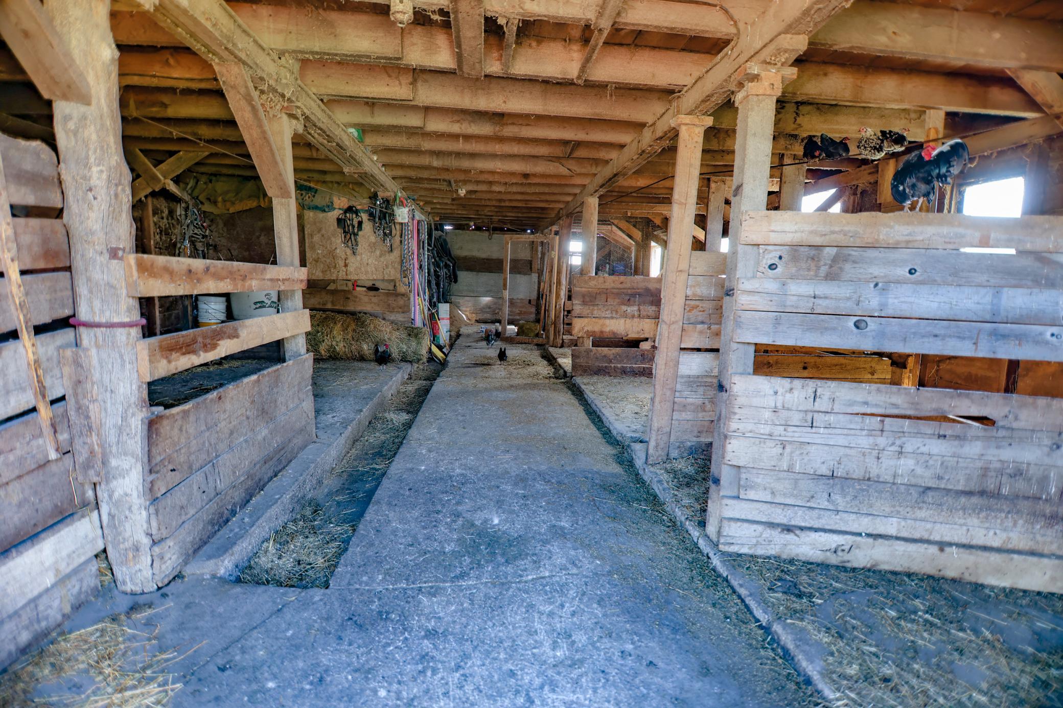 main property photo 12