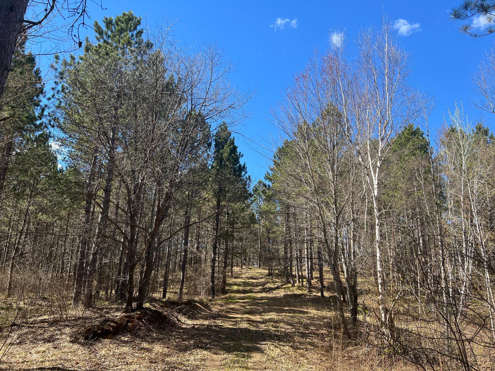 main property photo 11