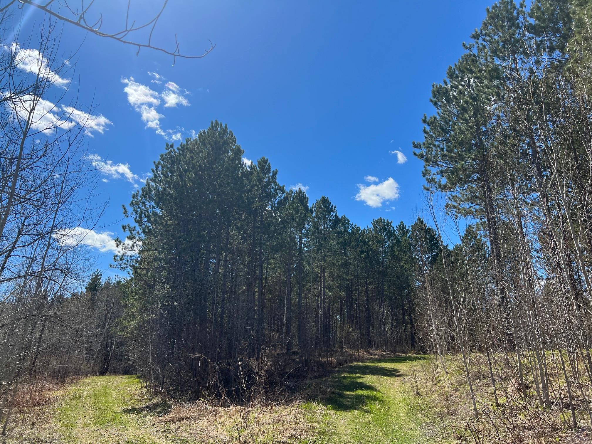 main property photo 13