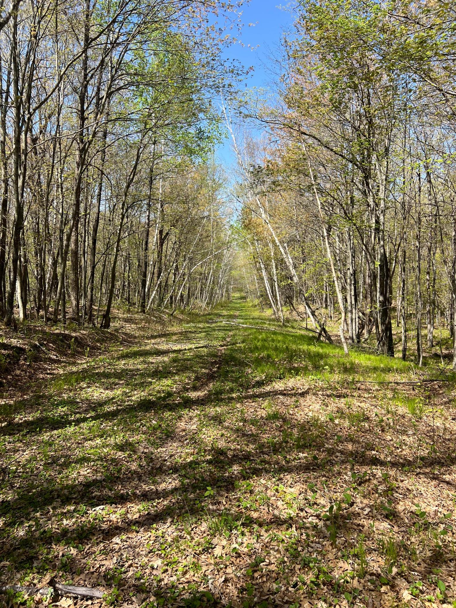 main property photo 17