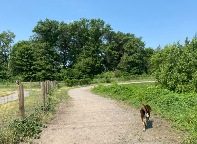 main property photo 33