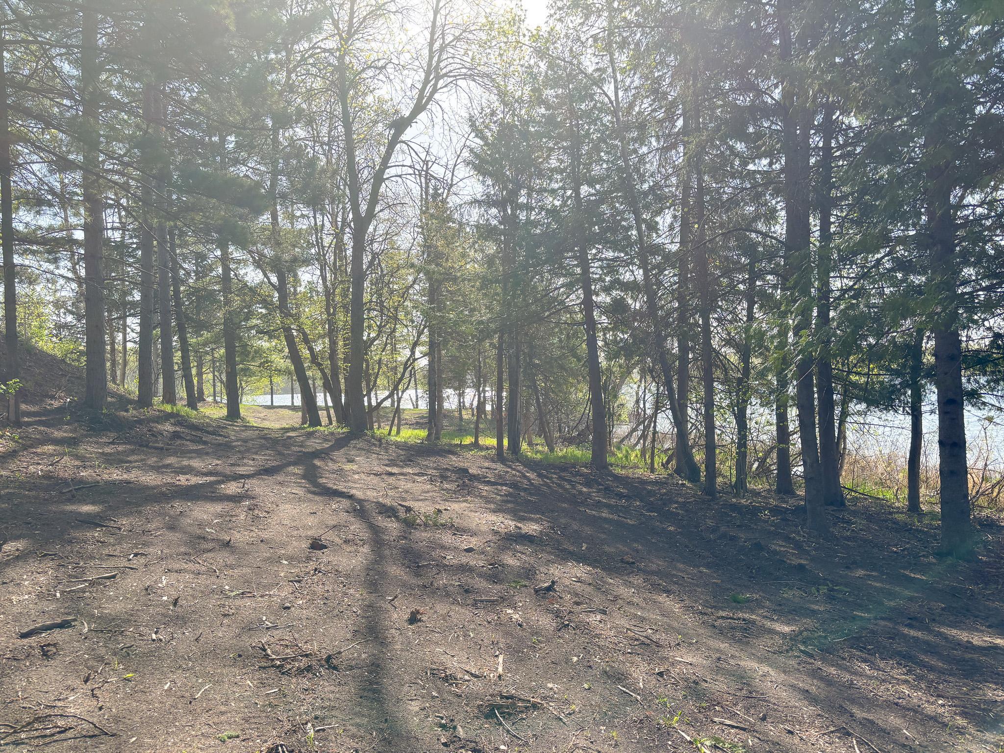 main property photo 38