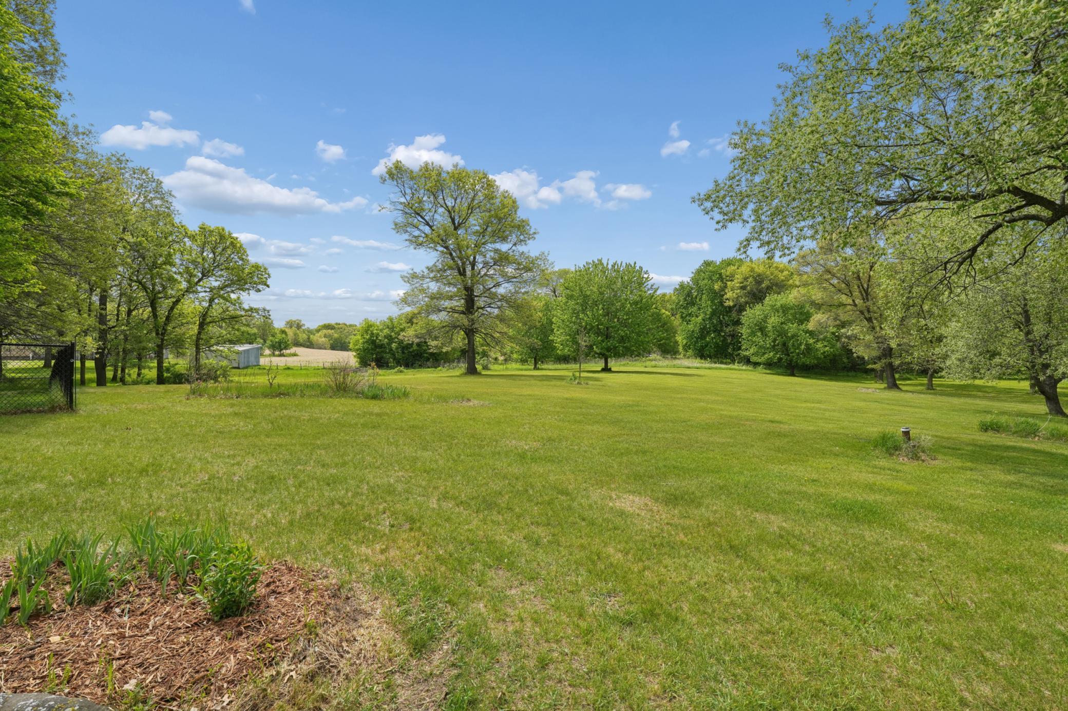 main property photo 54