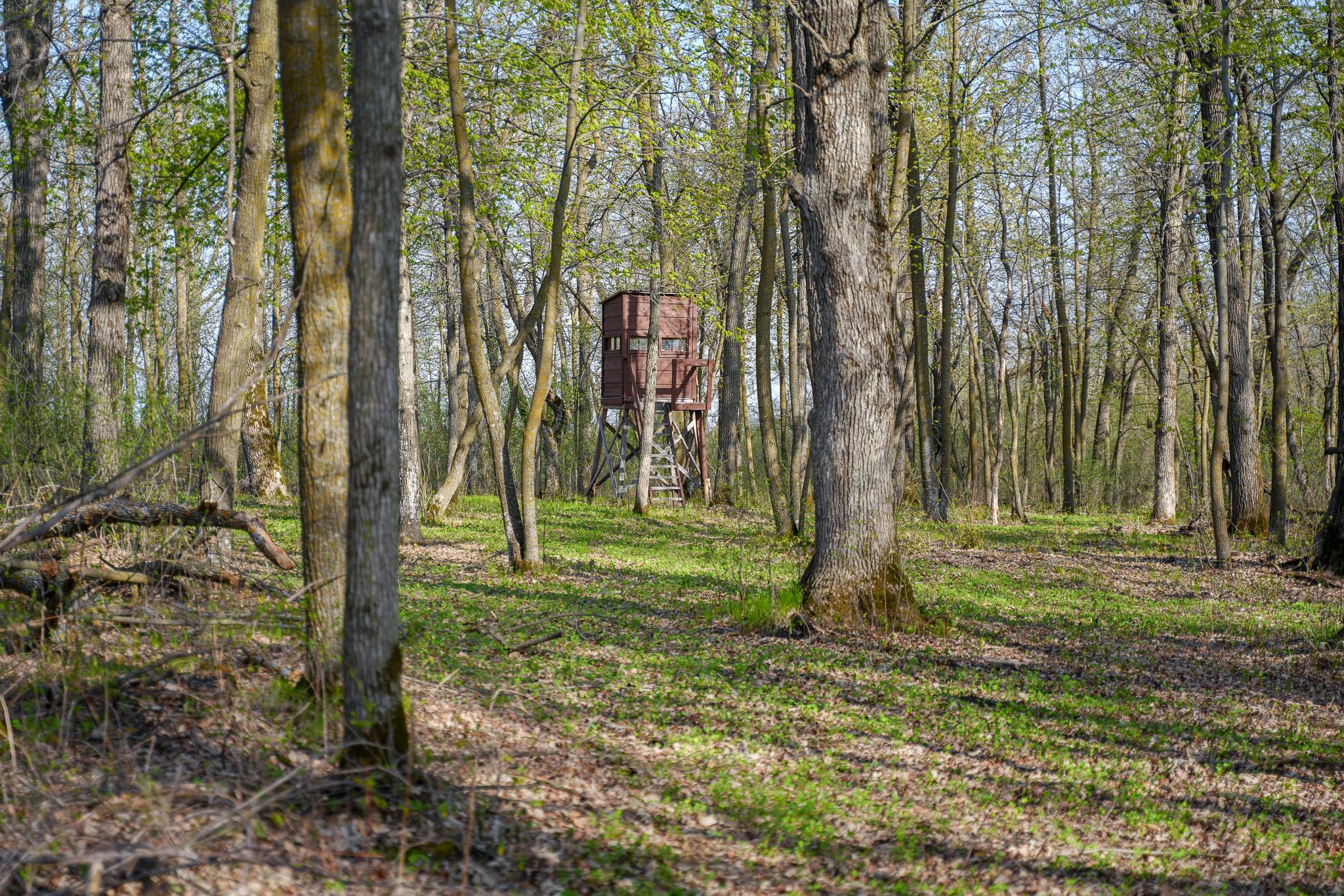 main property photo 45